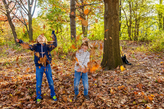 两个兄弟在森林里扔秋叶图片