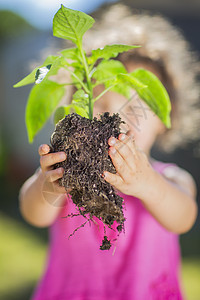 在花园里的女孩用手捧着植物图片