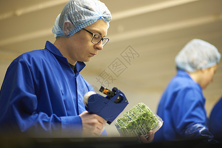 在生产线上戴头发网的男人使用价格标签图片