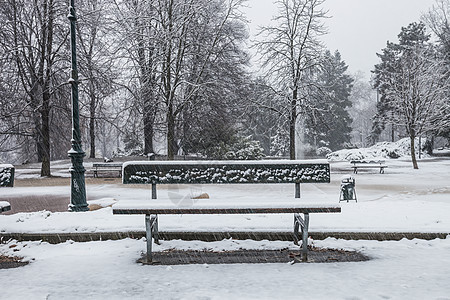 雪盖公园的长凳图片