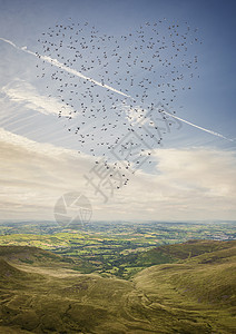 心形的鸟群飞越BreconBeacon上方威尔士英国图片