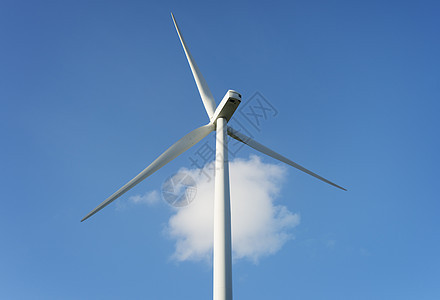 荷兰弗列沃ZeewoldeZeewolde的蓝天云风力涡轮机图片