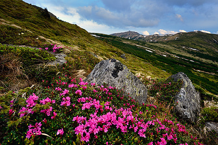 乌克兰地区喀尔巴阡山脊的地貌景观图片