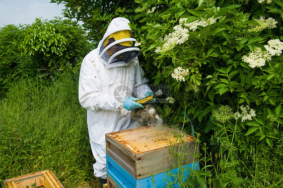 养蜂人穿着防护服图片