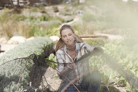 在农田整理网罩的女人图片