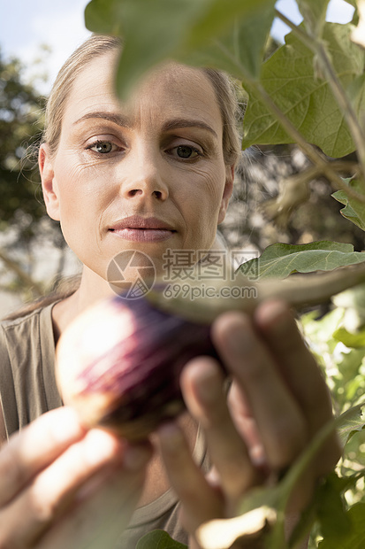 女人检查在花园种植的蔬菜果实图片