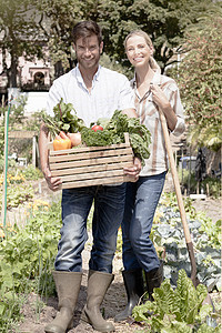 花园中持有一箱新鲜蔬菜的成熟夫妇肖像图片