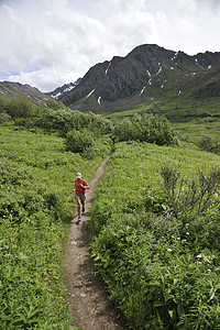 在美国阿拉斯加附近山的金薄荷路跑步的少女背景图片