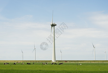 风力农场涡轮机图片