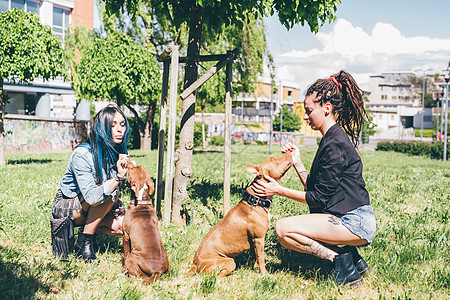 两名年轻妇女在城市公园里抚摸斗牛犬图片