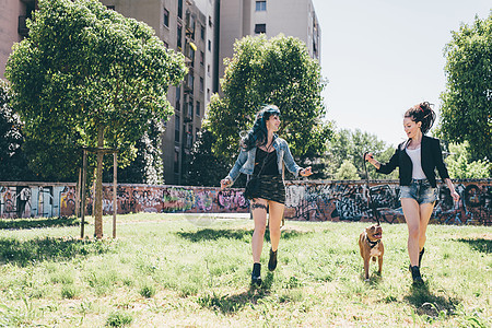 在城市公园中两名年轻妇女与斗牛犬一起行走图片