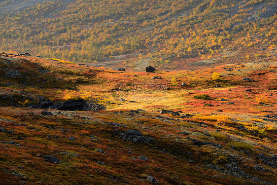 俄罗斯科拉半岛希比尼山脉多边形湖泊的秋季景观图片