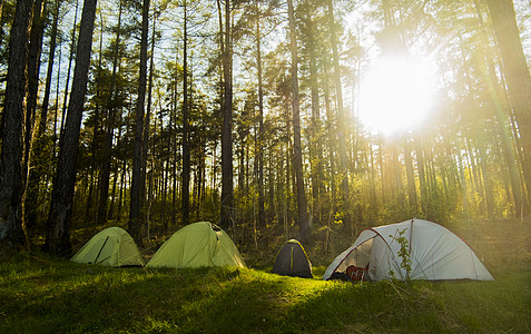 森林里搭建的帐篷图片