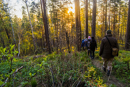 日落时探险者穿越森林图片