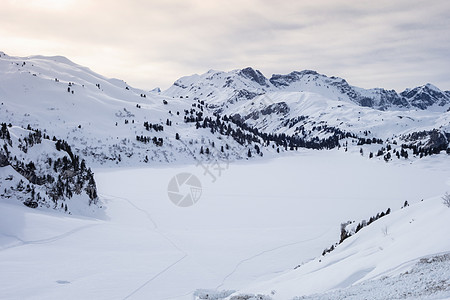 瑞士提特利斯山恩格尔贝蒂特利斯山被雪覆盖的山谷图片