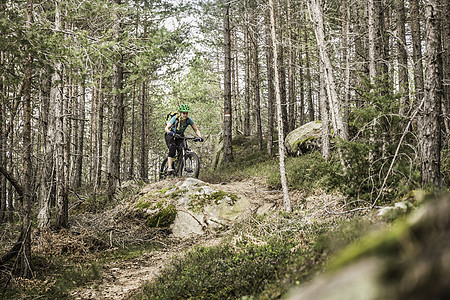 意大利南蒂罗尔州博森女子在林中骑自行车背景图片