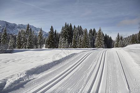 雪覆盖地貌的轮胎轨迹和壁状树德国巴伐利亚州埃尔莫图片