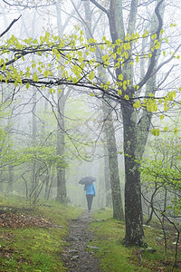 在美国弗吉尼亚州公园撑着雨伞行路的人图片