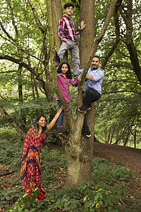 爬上树的一家人图片