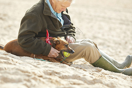 英国康沃尔斯坦丁湾海滩上坐着的人和狗图片