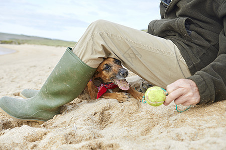 英国康沃尔斯坦丁湾海滩上坐着的人和狗图片