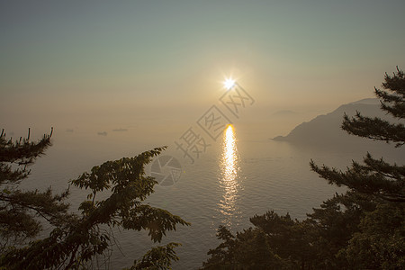 通过树木看到海上日落的景象韩国釜山图片