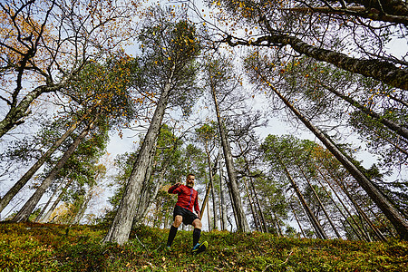 芬兰拉普兰陡峭山坡上小跑的人图片