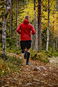 芬兰拉普兰森林中的人跑步背影图片