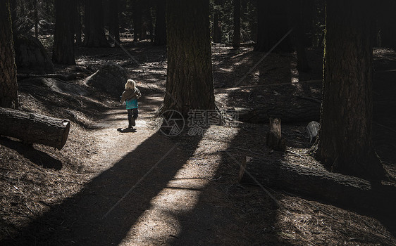 森林中行走的年轻男孩图片