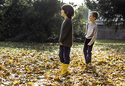 两个男孩在户外玩耍秋叶图片