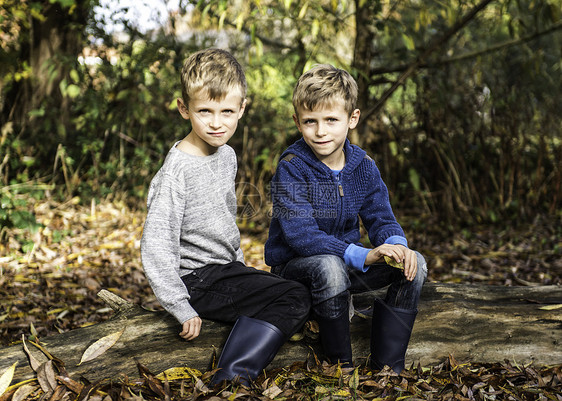 一对双胞胎男孩的肖像户外秋天坐在圆木上图片
