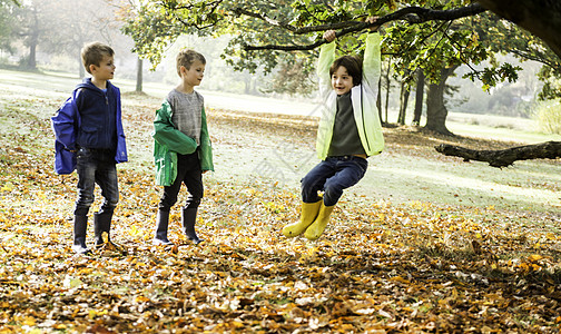三个男孩在公园秋天一个男孩在树上摇摆图片