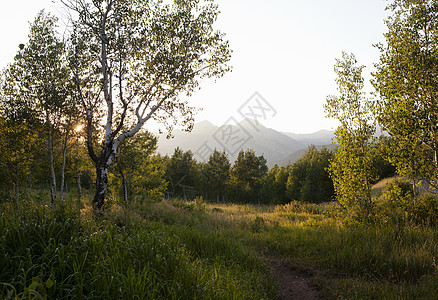 美国犹他州阿斯彭格罗夫温塔森林顶峰足迹高清图片