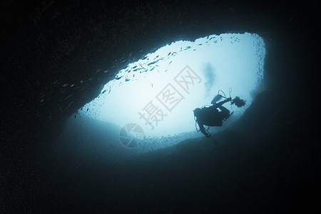 不同生物从当地珊瑚礁收集入侵狮子鱼图片