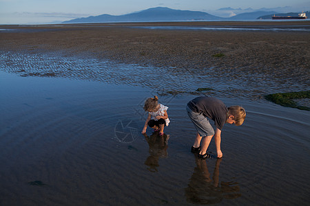 在加拿大不列颠哥伦比亚省温华海滩捡贝壳的儿童图片