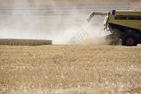 英国格洛斯特郡大型联合收割机从田间收割的作物中倾泻出大量灰尘图片
