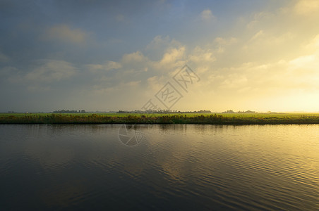 Meadows和Reed在荷兰弗里西亚湖区图片