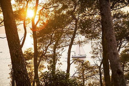 克罗地亚达尔马提斯普利特沿海森林日落图片
