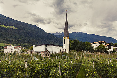 意大利南蒂罗尔州山谷的教堂和果园图片