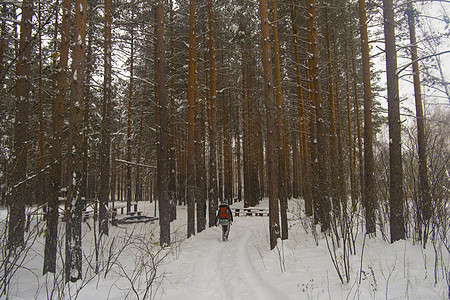 走在被雪覆盖的森林中的女性图片
