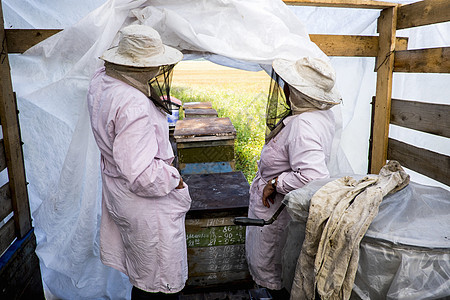 两名女养蜂员在蜂箱外站着图片