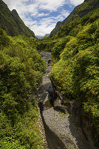 留尼汪岛雨林山地景观图片
