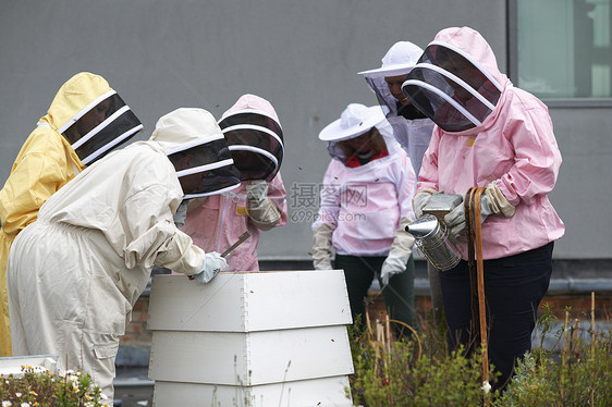 检查蜂巢的养蜂人图片