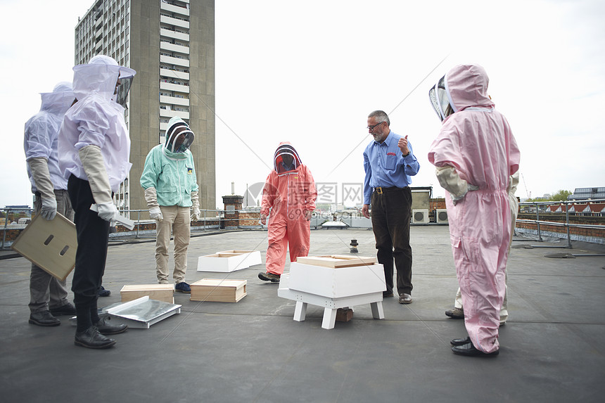 建筑物屋顶的养蜂培训课图片