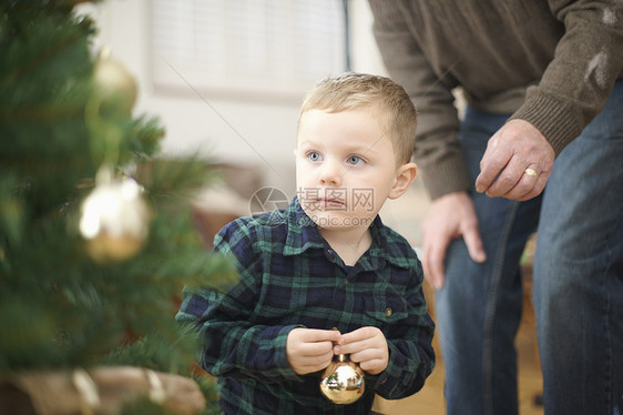 爷爷和孙子在圣诞树旁边图片