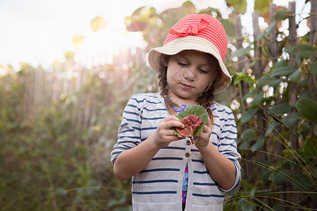美国佛罗里达州朱庇特吹石保护区拿着树叶看的女孩图片