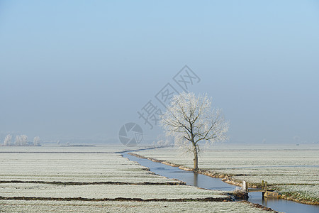冬季的圩区景观图片