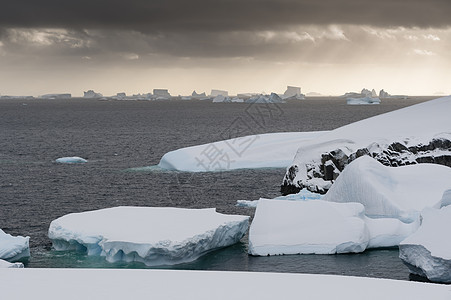 南极洲漂浮的冰山图片