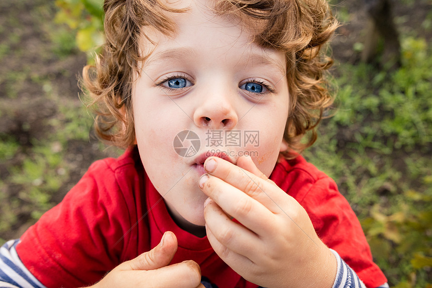 在葡萄园里吃葡萄的男孩图片