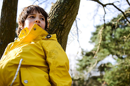 在黄色的动脉中男孩靠在公园树上图片